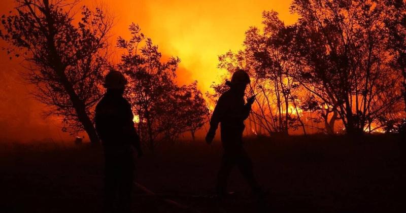 На Полтавщині внаслідок лісової пожежі було проведено евакуацію жителів двох сіл. Зазнали пошкоджень приватні домівки та інші будівлі, повідомляє обласна військова адміністрація. Додано фотозвіт.