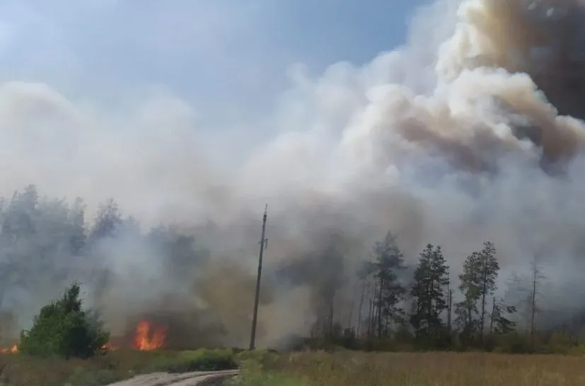 Власники домогосподарств у Донецькій області, які зазнали втрати майна через російські атаки, мають можливість отримати компенсацію через програму 