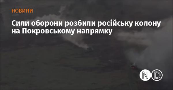 Сили оборони знищили російську колону в районі Покровського.