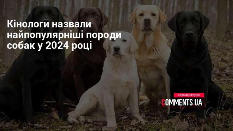 Кінологи визначили найпоширеніші породи собак 2024 року.