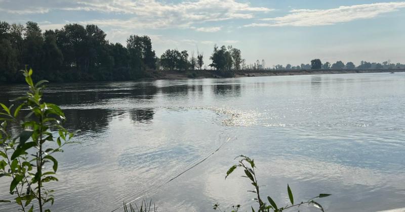 Забруднені води з річки Десна досягли Київщини, повідомляє Держводагентство (відео).