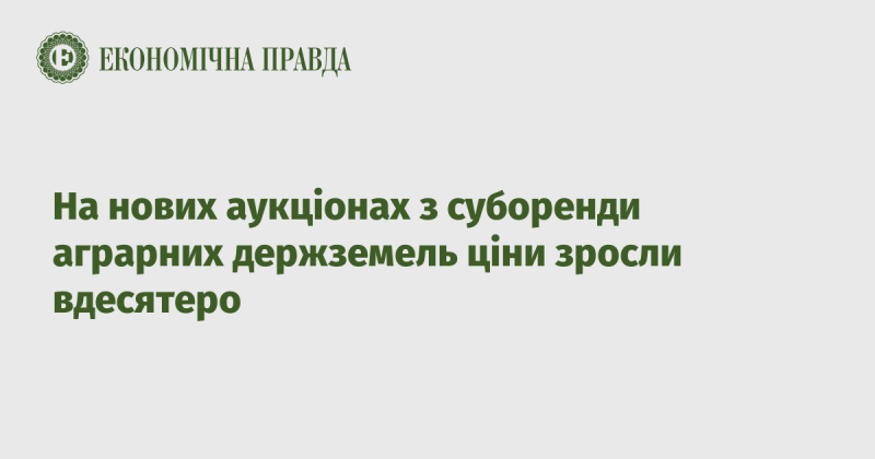 На свіжих аукціонах з суборенди державних сільськогосподарських земель ціни підскочили в десять разів.