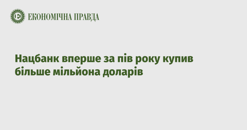 Національний банк вперше за останні шість місяців придбав понад мільйон доларів.