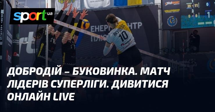 Добродій проти Буковинки. Битва лідерів Суперліги. Дивіться онлайн в режимі LIVE!